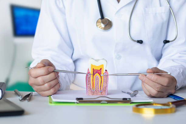 Best Emergency Dentist for Special Needs Patients in South Berwick, ME